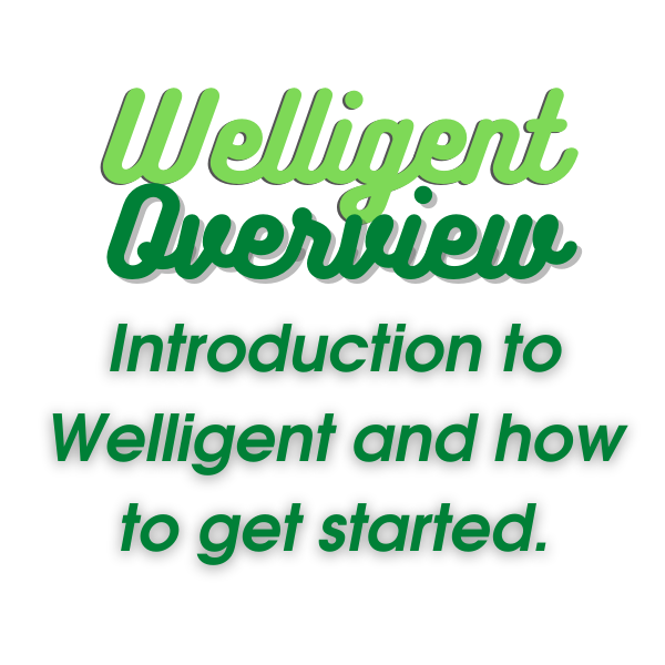 Welligent desc overview